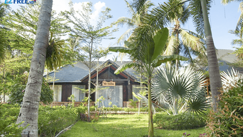 [Free&Easy Phú Quốc] 02 đêm Resort Orange 3*