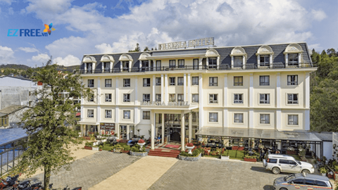 [Free&Easy Sapa] 01 đêm Khách sạn 4* Freesia Sapa